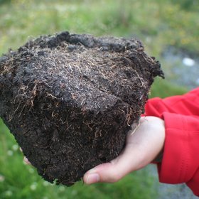 Aggregate from an Irish peat soil