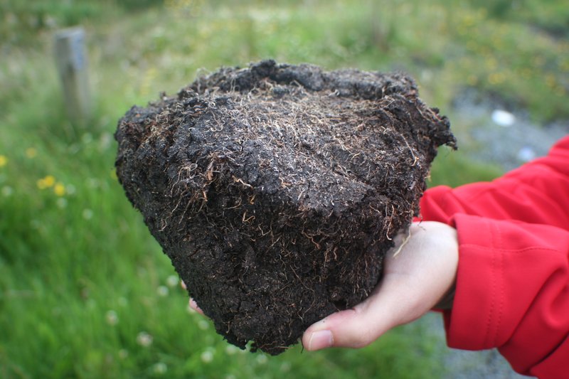 Aggregate from an Irish peat soil