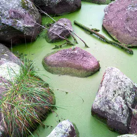 Green river