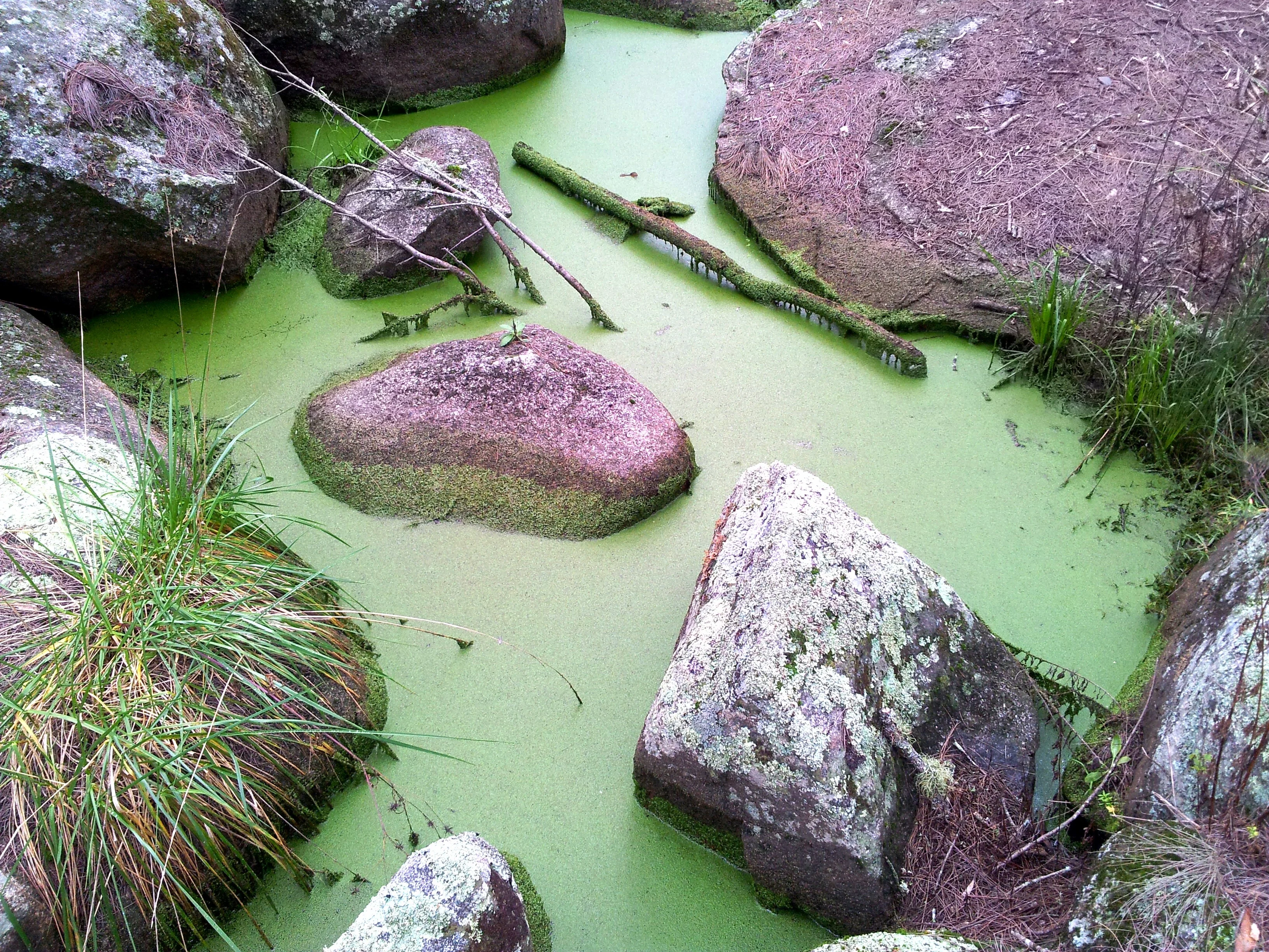 Green river