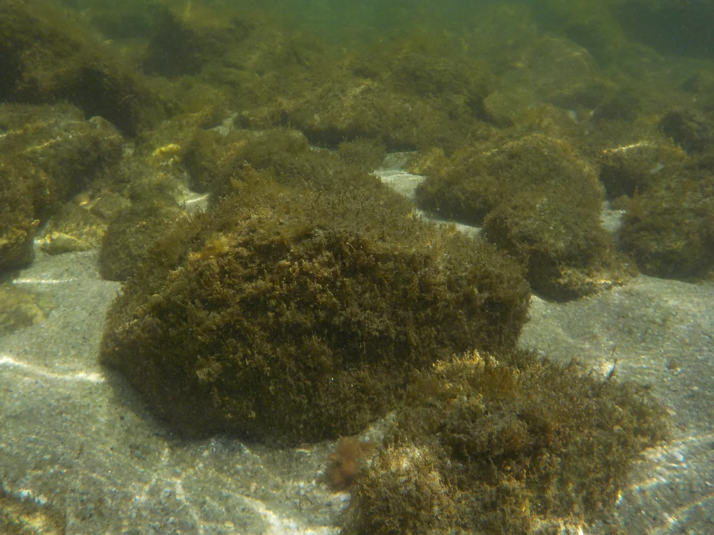 Coastal zone