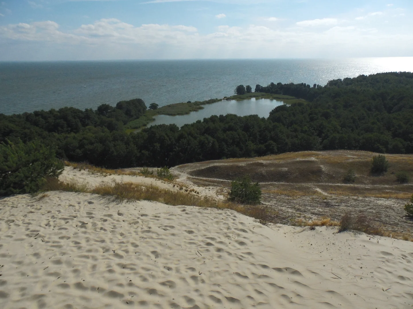 The world of sand, wind, forest and water