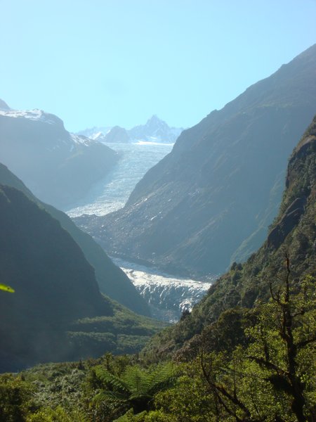 The Fox Glacier - New Zealand South Island
