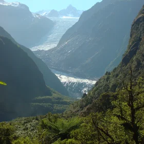 The Fox Glacier - New Zealand South Island