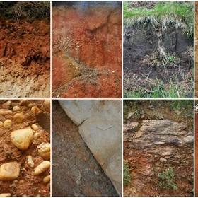Soil, that colorless dirt