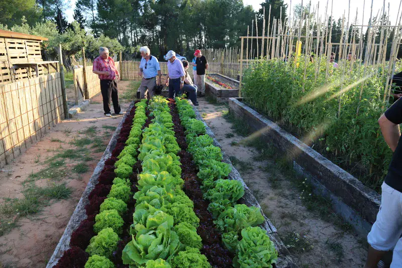 Gardens for vegetables production depend on the soil quality