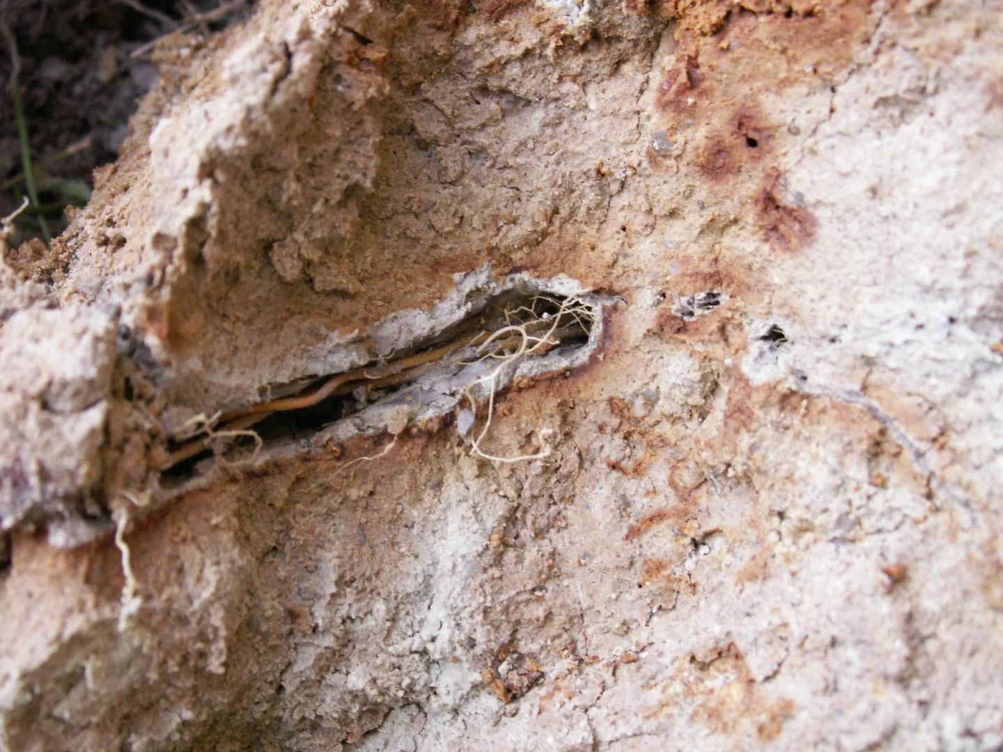 Redoximorphic features in soil