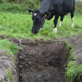 All creatures may have interest in soil...
