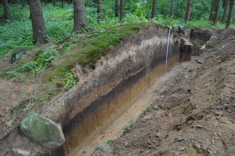 Buried Chernozem in a Neolithic kurgan