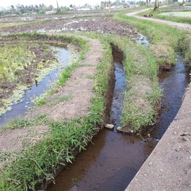 Irrigation diversion point in rice paddy fields, Bali