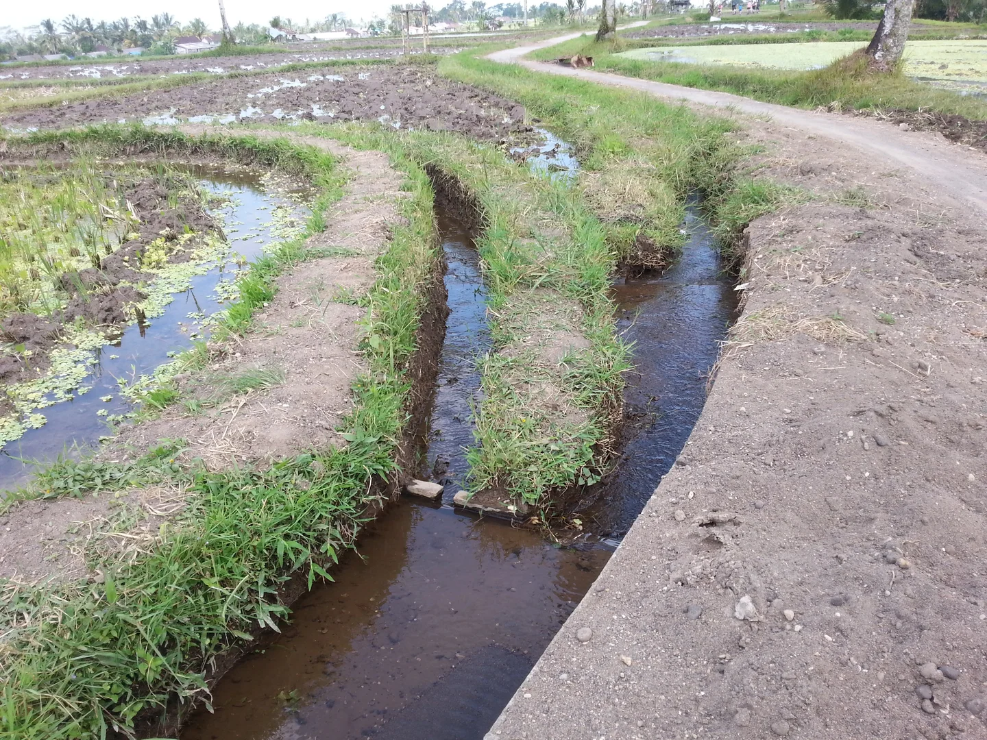 Irrigation diversion point in rice paddy fields, Bali