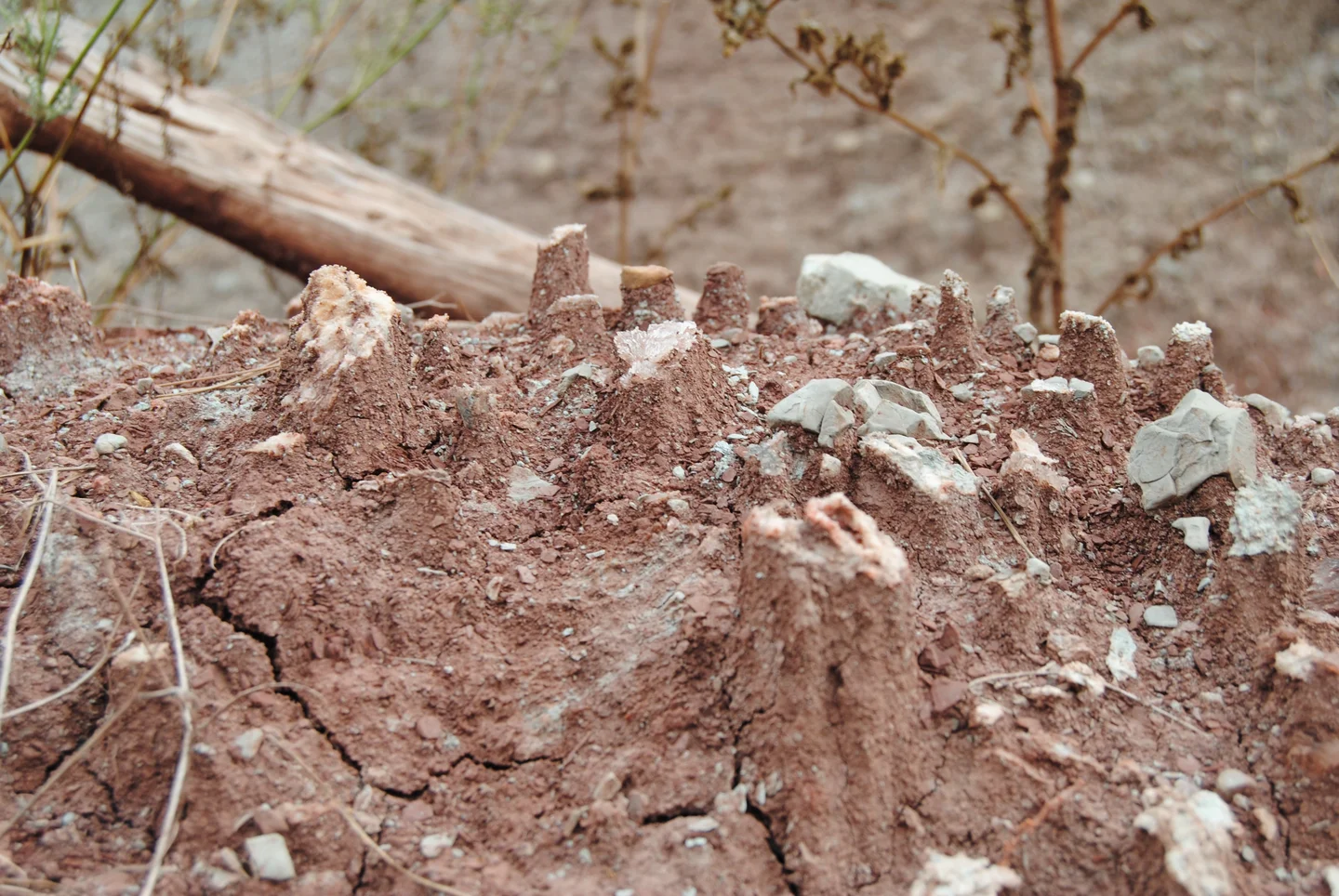 Soil stands up
