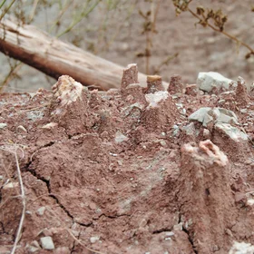 Soil stands up