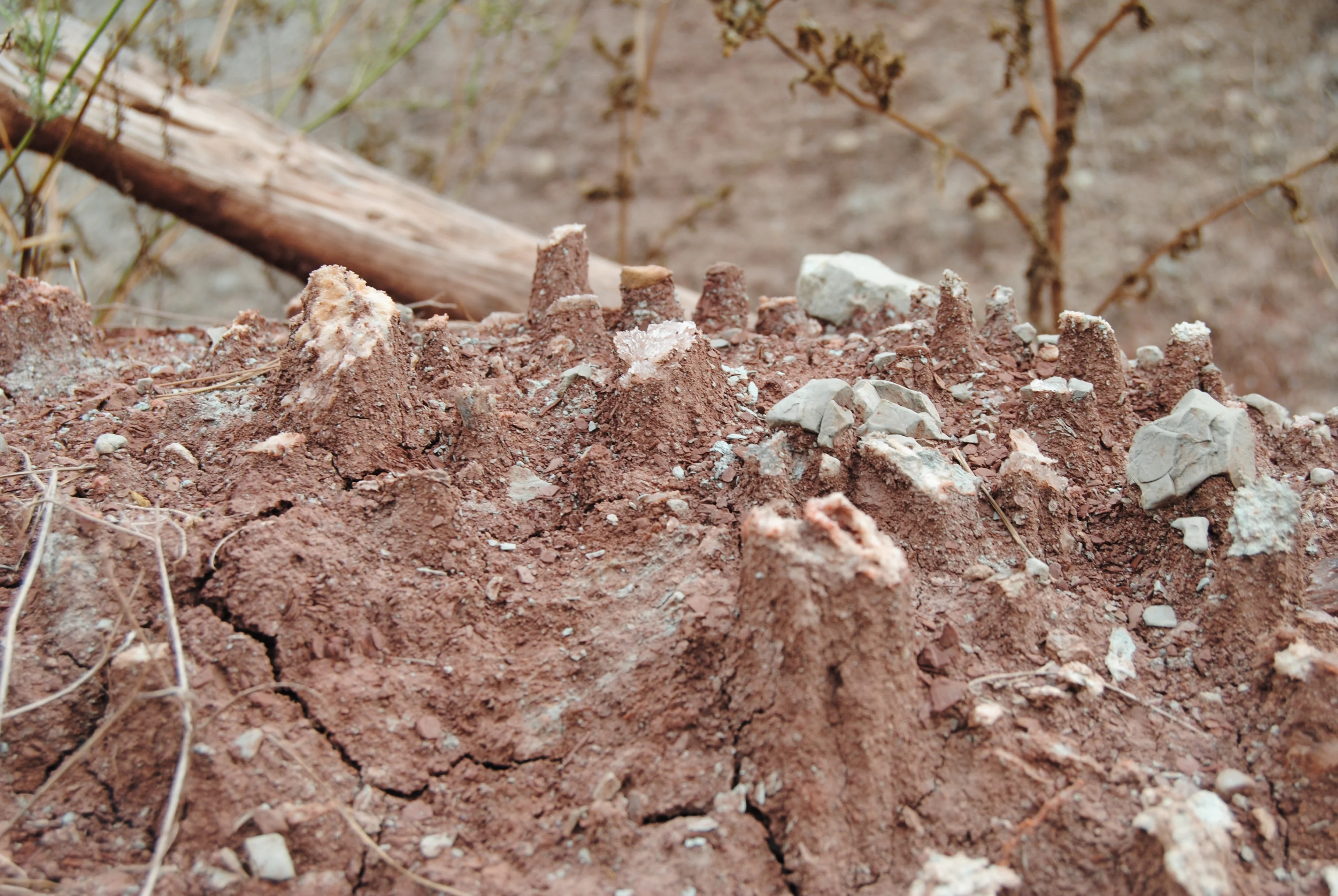 Soil stands up