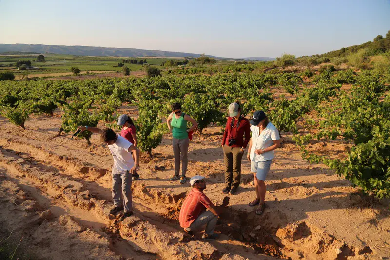 Scientists discuss about the soil erosion in vineyards in Les Alcusses valley near Moixent, Eastern Spain