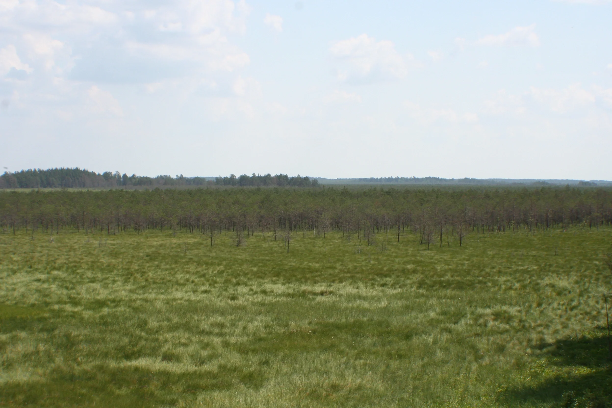 Small changes in soil properties cause large changes in vegetation
