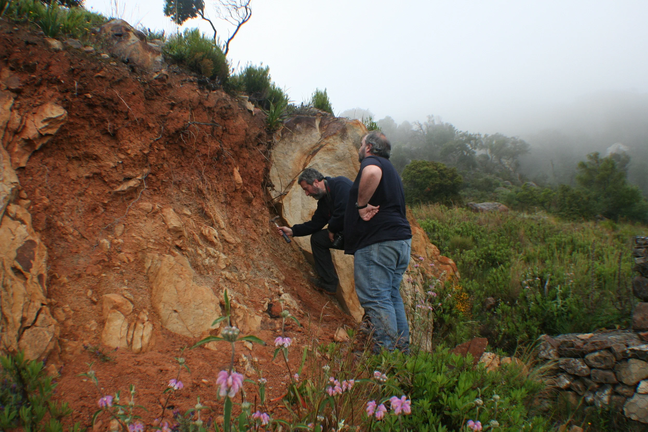 Describing a soil profile