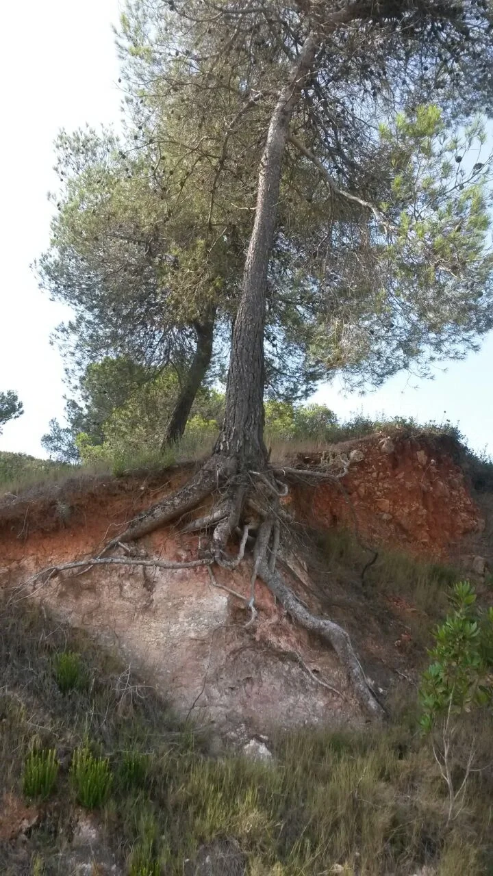 Holding on for life