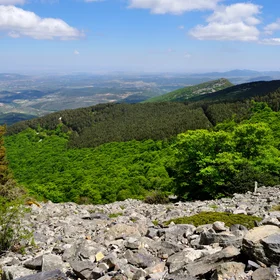 Moncayo Natural Park Forests
