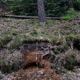 Skeletic Podzol/Typic Haplorthod