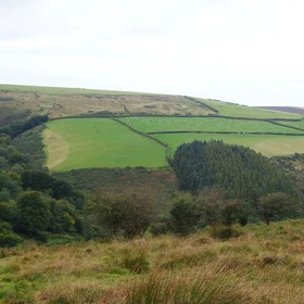 Moorland watershed land use (Exmoor National Park, UK)