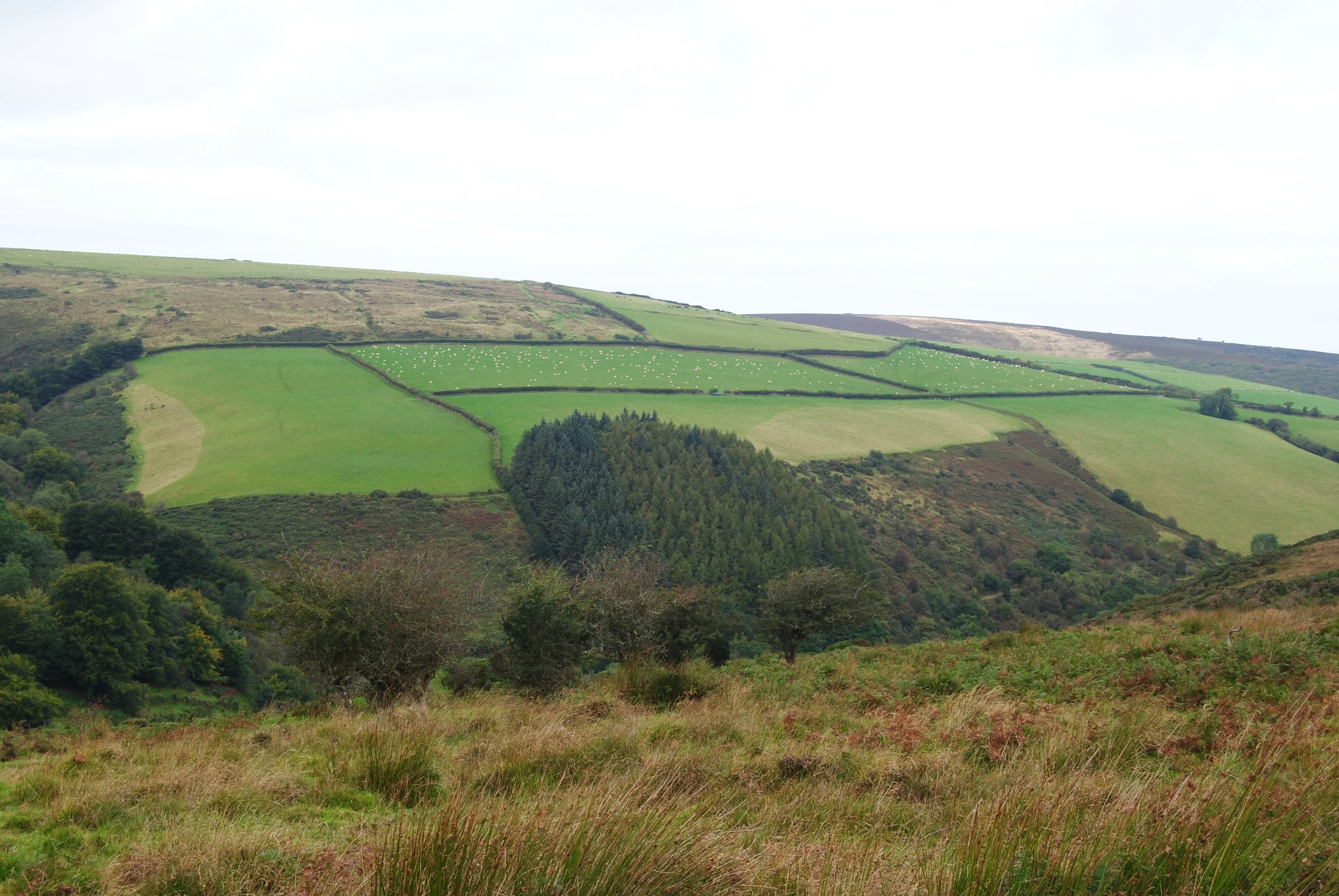 Moorland watershed land use (Exmoor National Park, UK)