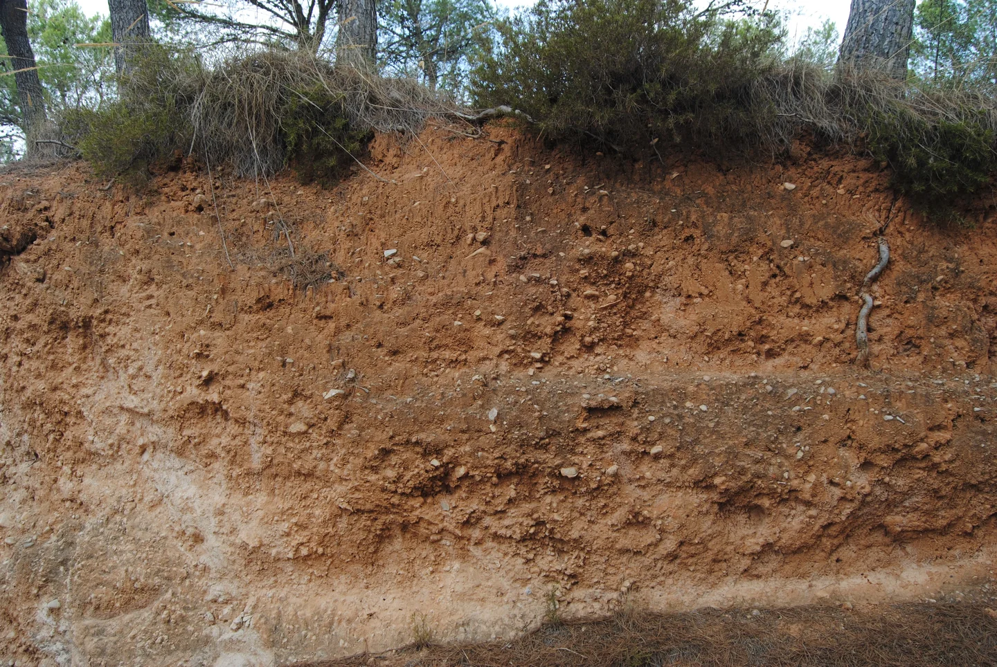 Well...soil must tell us the story then