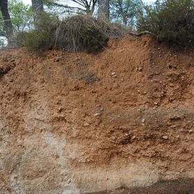 Well...soil must tell us the story then