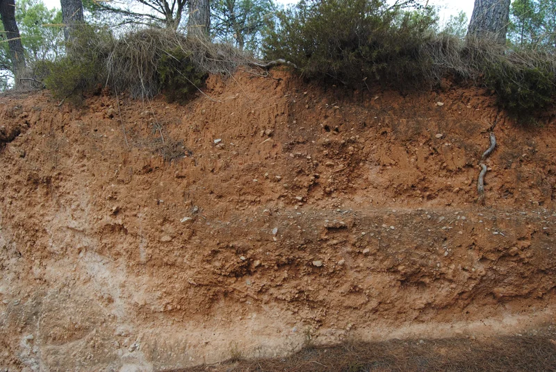 Well...soil must tell us the story then