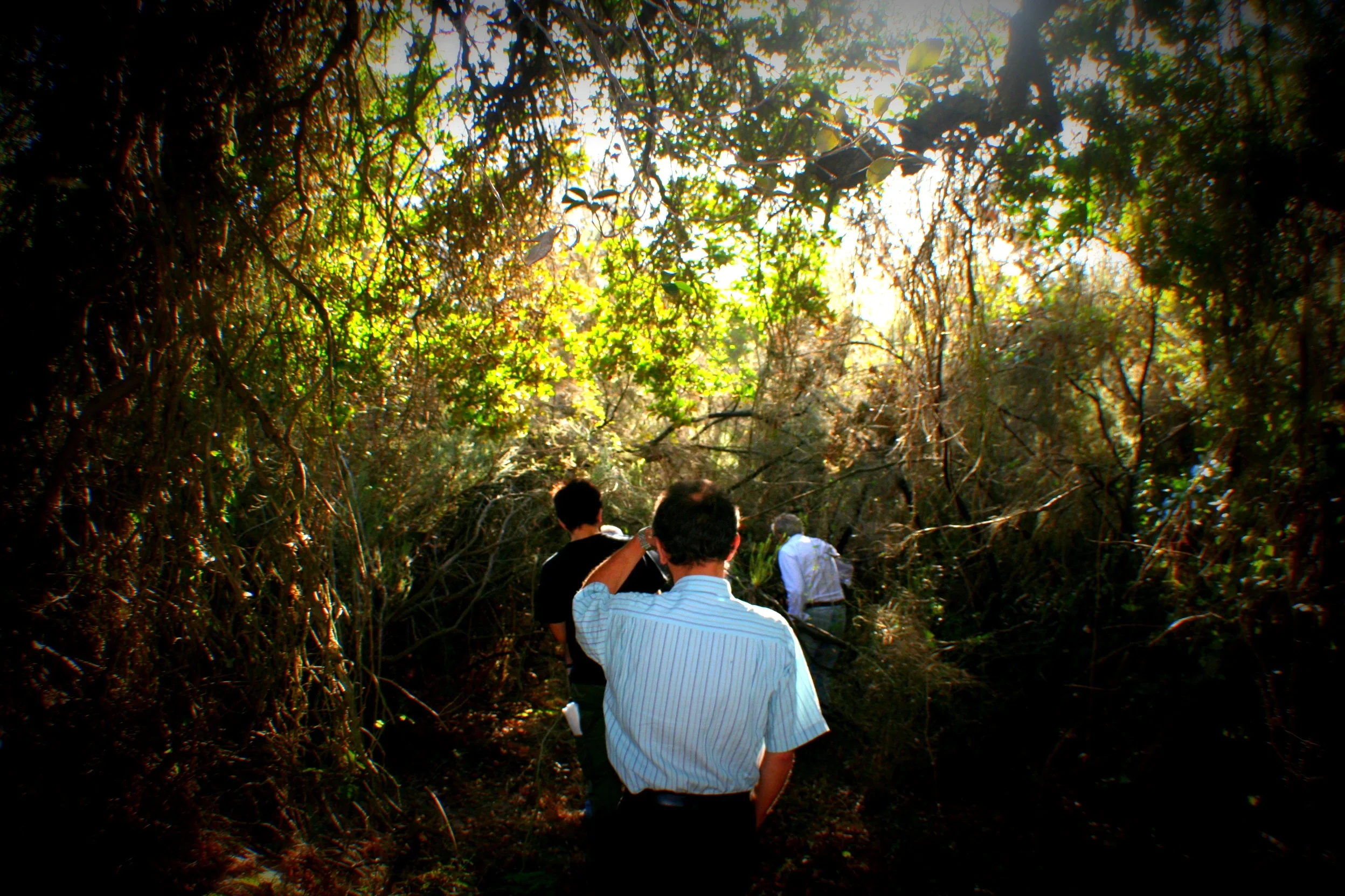Soil scientists in action: Nica, Jag, Arturo, Luis, Lorena and Antonio