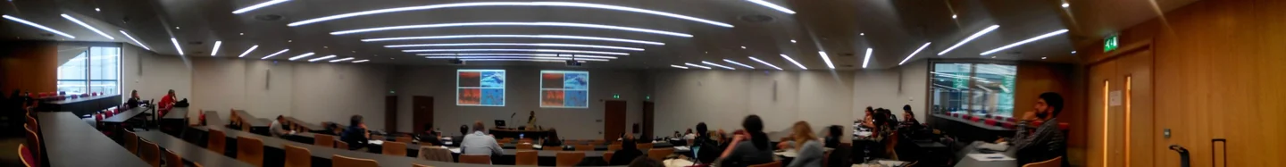 Participants in the FESP5, Dublin, Ireland