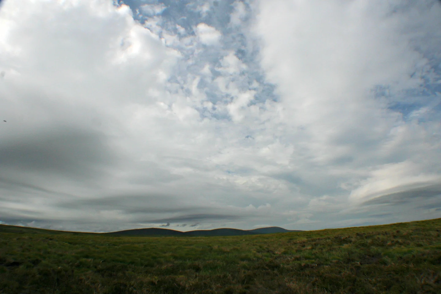 Irish peatland