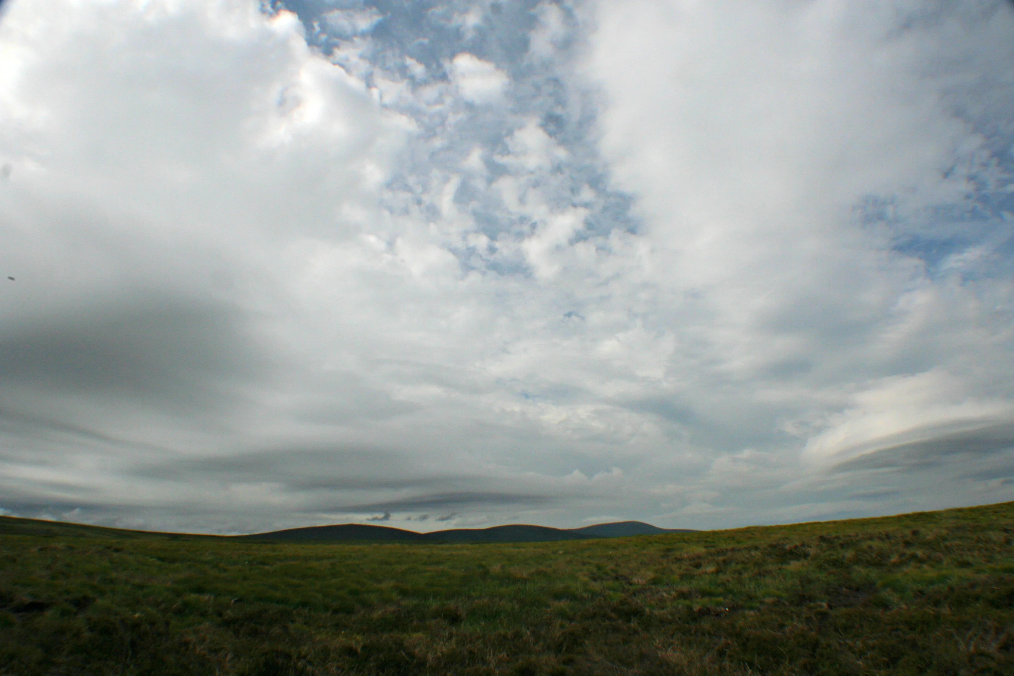 Irish peatland