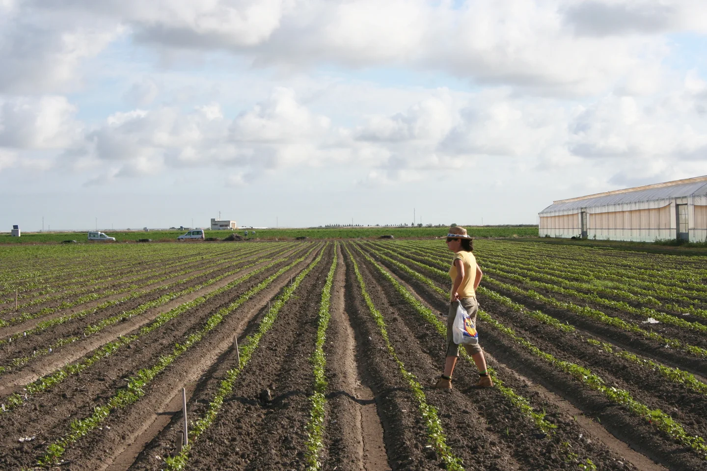 Soil provides fibers for clothes to wear