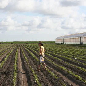 Soil provides fibers for clothes to wear