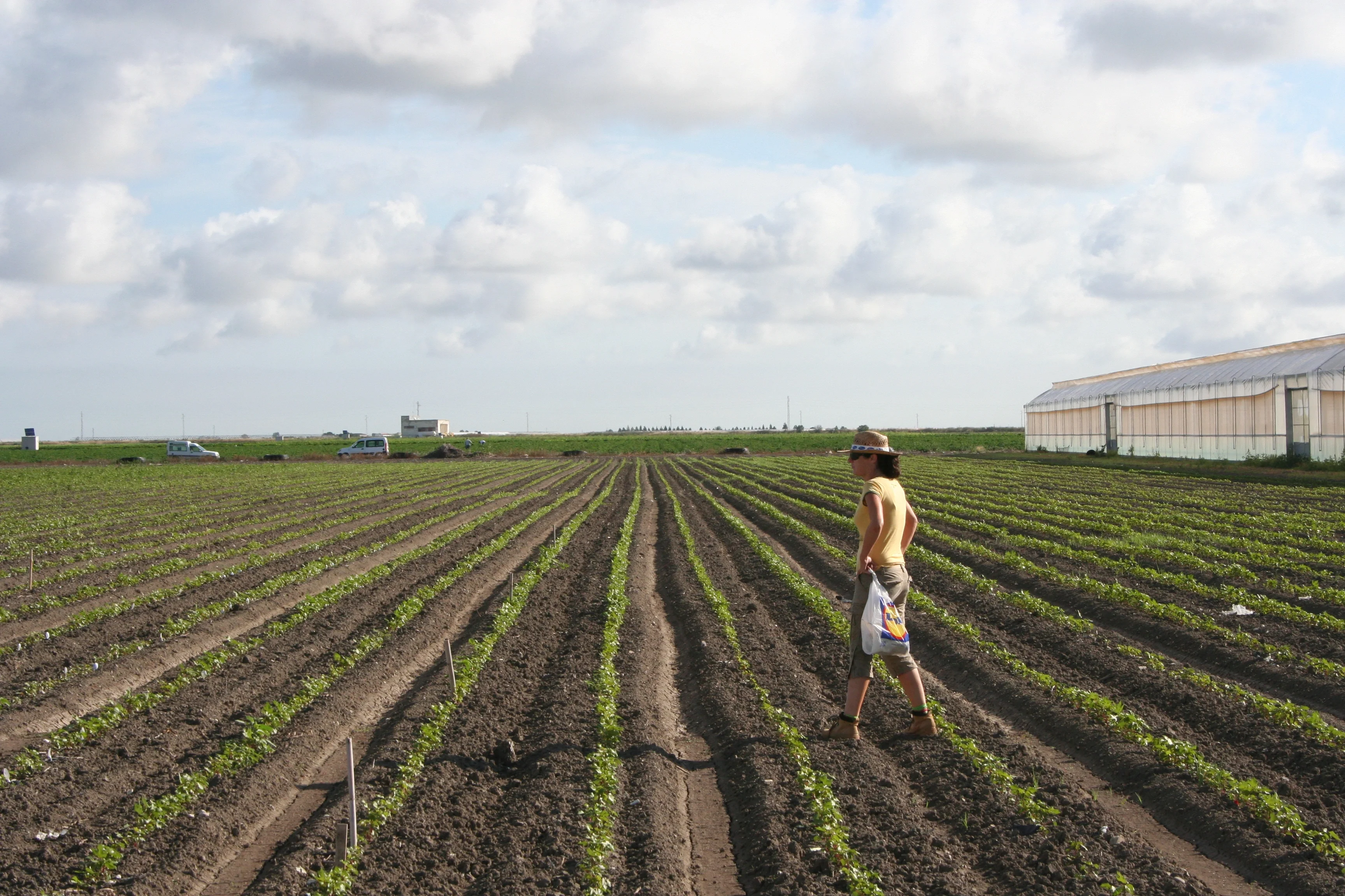 Soil provides fibers for clothes to wear