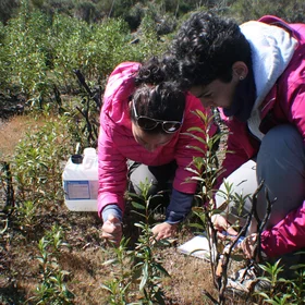 Soil scientists in action: Nancy and Eli