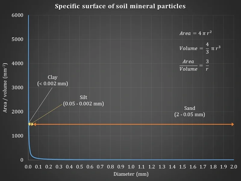 Specific surface of soil mineral particles