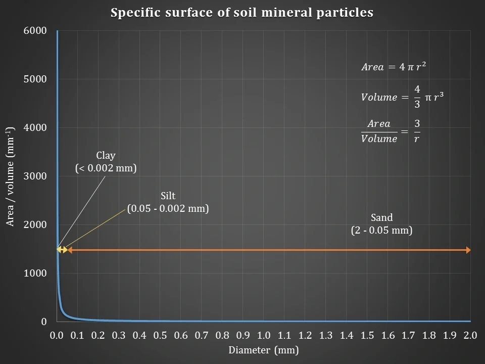 Specific surface of soil mineral particles