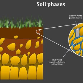 Soil phases