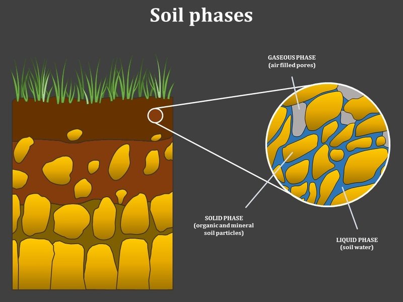 Soil phases