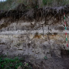 Buried Soil