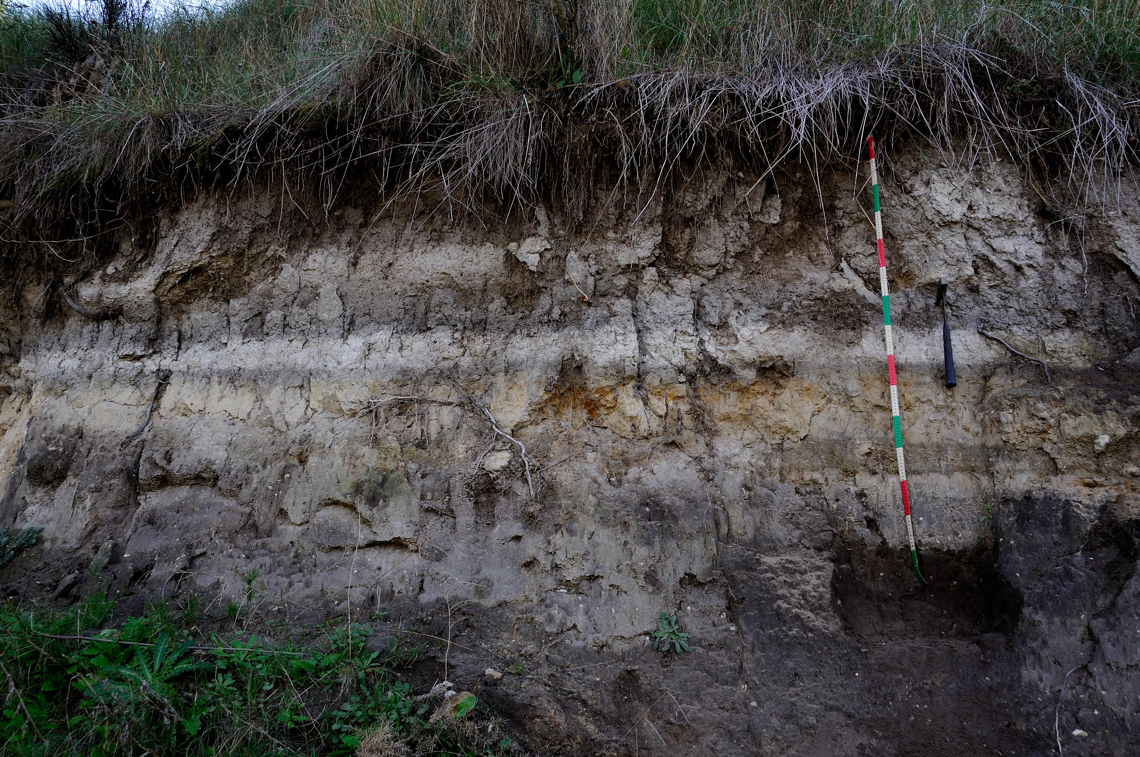 Buried Soil