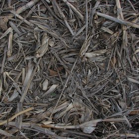Rastrojo de maíz - Cobertura de suelo
