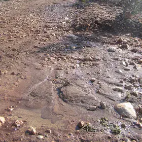 Fine sediment deposition