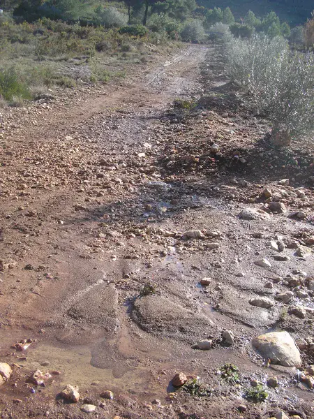 Fine sediment deposition