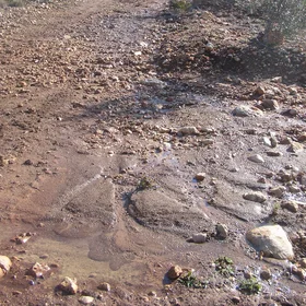 Fine sediment deposition