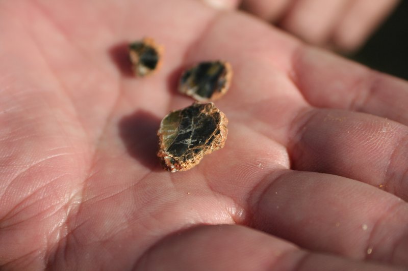 Small pieces of vermiculite