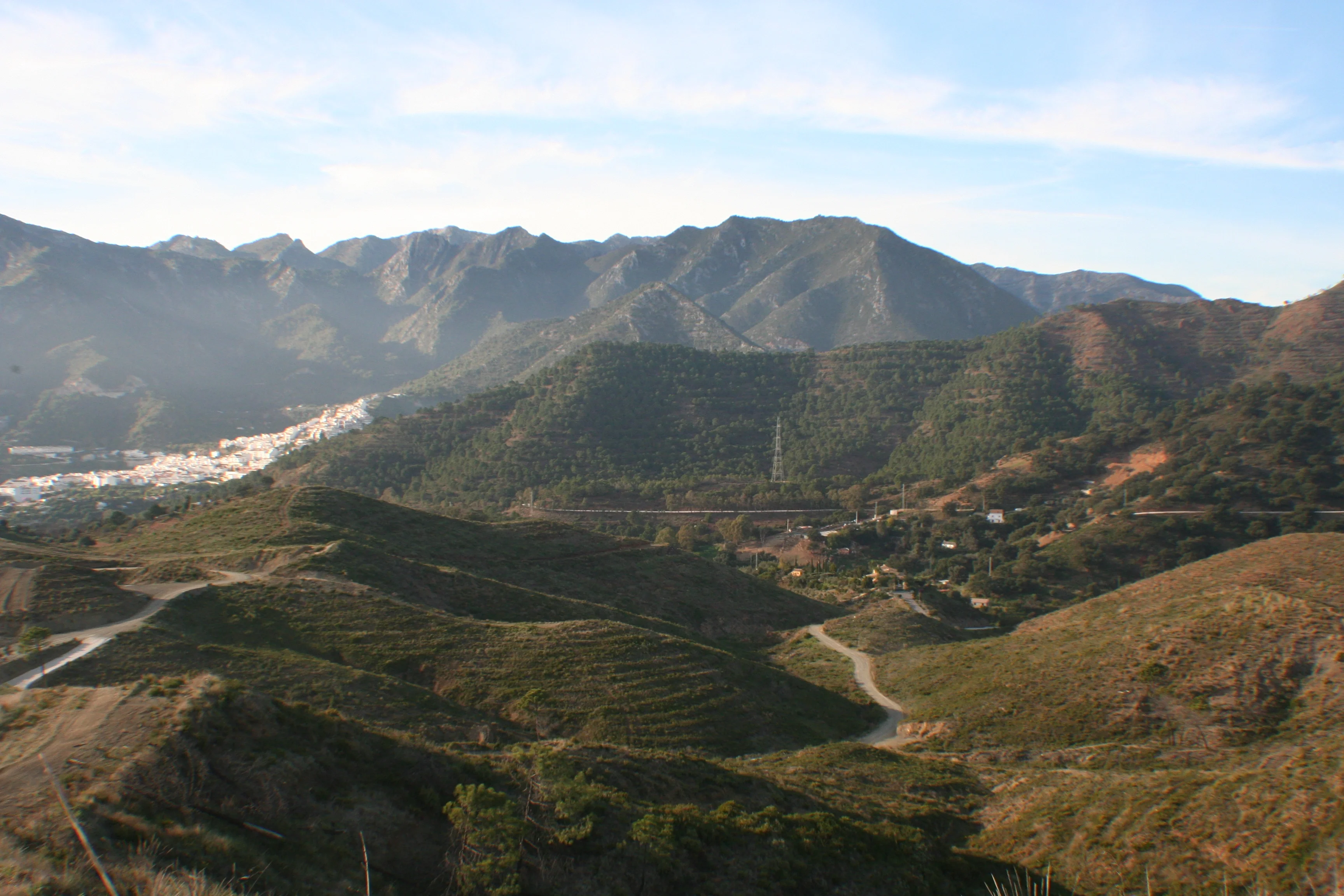 Soil restoration measures after a wildire