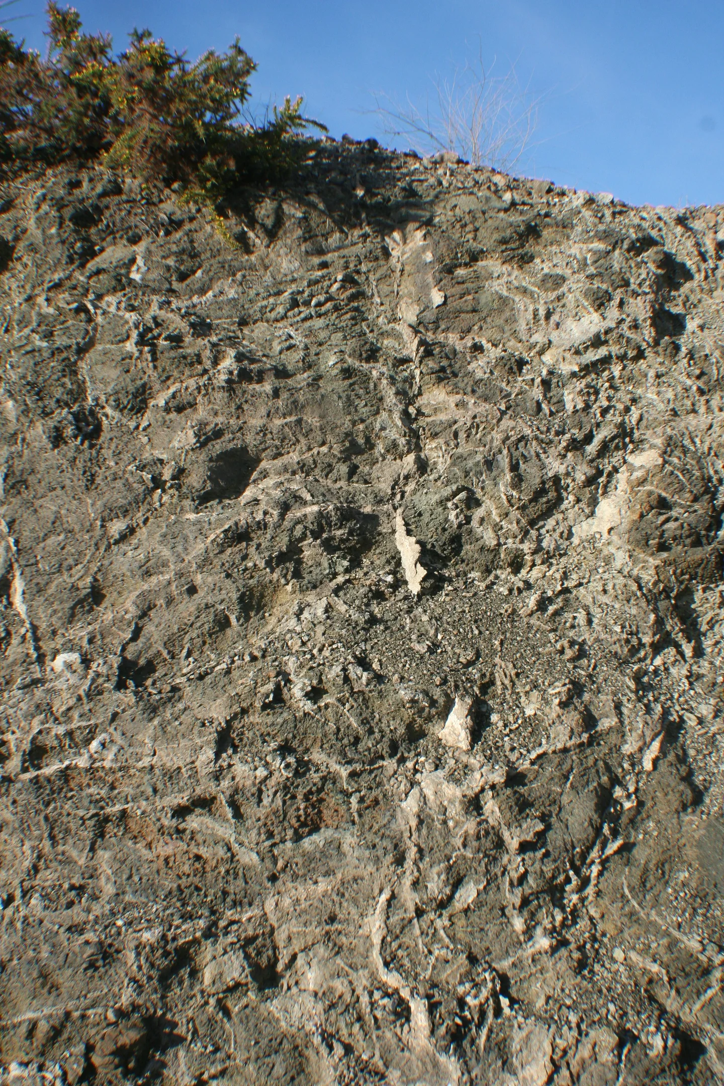 Lithic Leptosol on peridotite